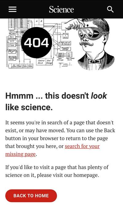 Kontrovers: Wölfe kooperieren, Hunde dominieren?-Beitrag-Bild