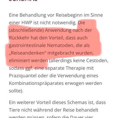 Milbemax zur Vorbeugung gegen Herzwürmer-Beitrag-Bild