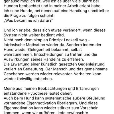 "Wege zur Freundschaft" (Ulli Reichmann)-Beitrag-Bild
