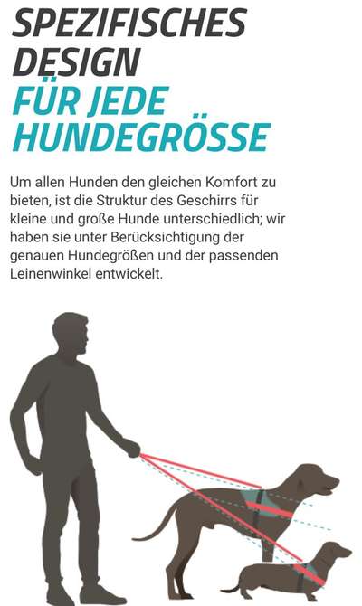 TierschutzhundeStammtisch🐕-Beitrag-Bild