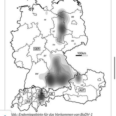 Kontakt mit Spitzmaus-Beitrag-Bild