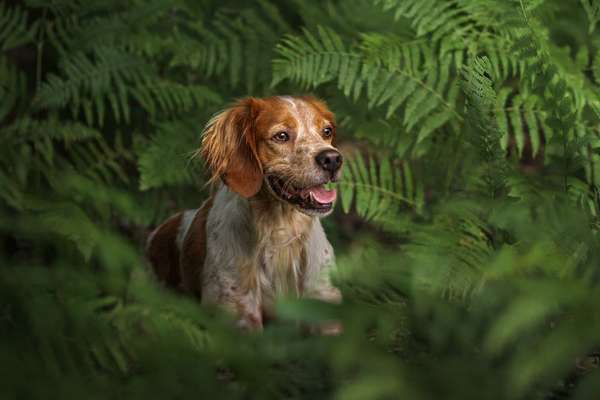 Austausch zur Fotografie-Beitrag-Bild