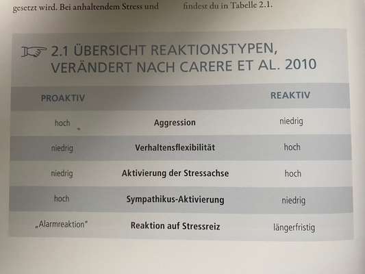 TierschutzhundeStammtisch🐕-Beitrag-Bild