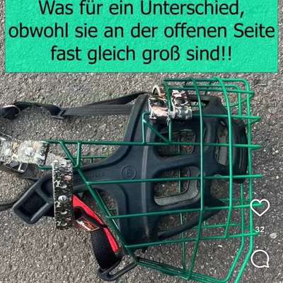 Maulkorb - passende Größe?-Beitrag-Bild