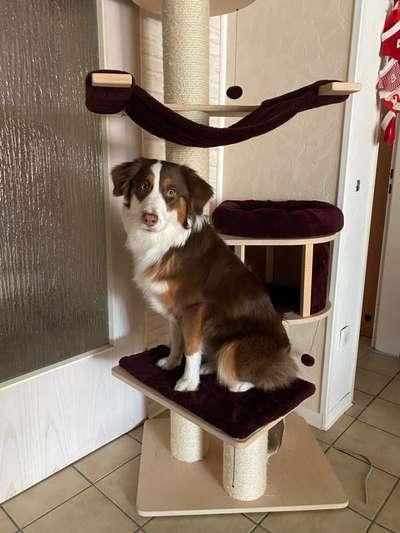 Lieblings Fotos-Beitrag-Bild