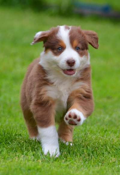 Fotochallenge Nr. 67: Euer Lieblingsbild-Beitrag-Bild