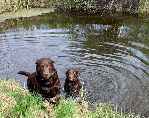 Fotowettbewerb Natur-Beitrag-Bild