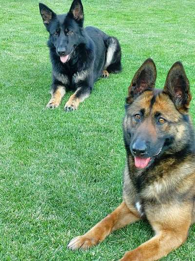 Lieblingsbild-Beitrag-Bild