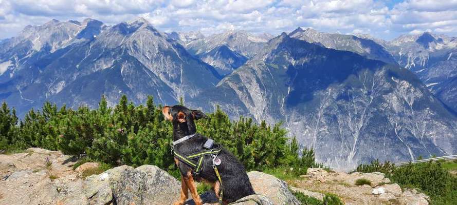 Fotowettbewerb Natur-Beitrag-Bild