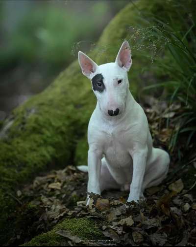 Lieblings Fotos-Beitrag-Bild