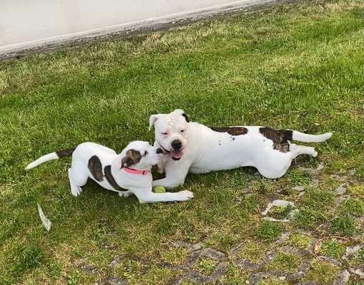 42.Fotochallenge - Eure schönen Momente beim Spaziergang-Beitrag-Bild