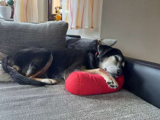 4. Lustiger Schlafplatz-Beitrag-Bild