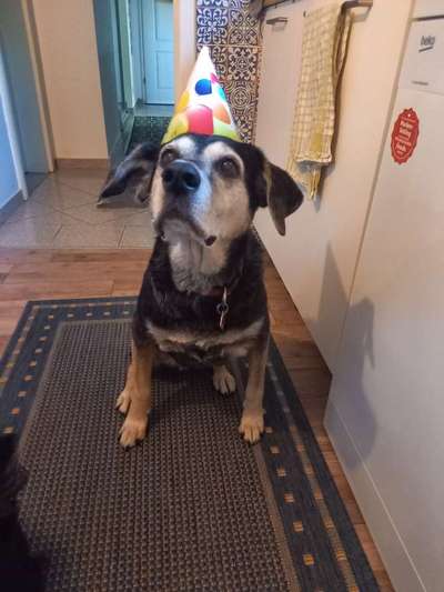 Fotochallenge Nr. 56 - geliebte Senioren-Beitrag-Bild