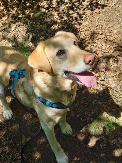 Lieblingsbild-Beitrag-Bild