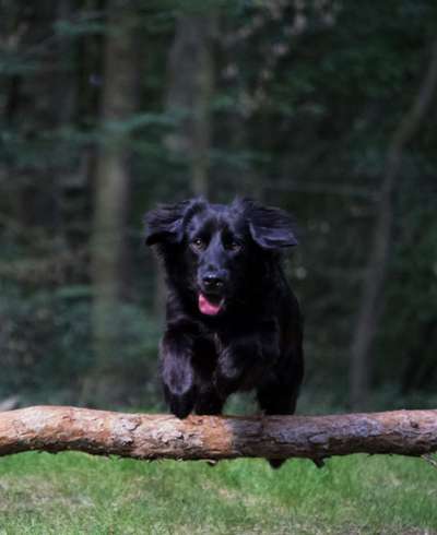 Lieblingsbild-Beitrag-Bild