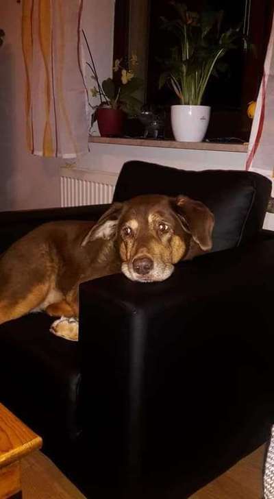 Fotochallenge Nr. 56 - geliebte Senioren-Beitrag-Bild