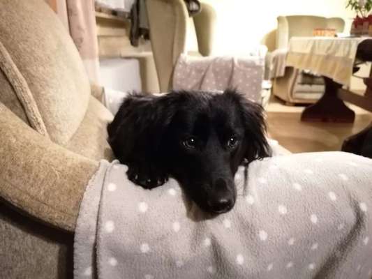 150. Foto Challaenge:  Die Augen, der Spiegel der Seele-Beitrag-Bild