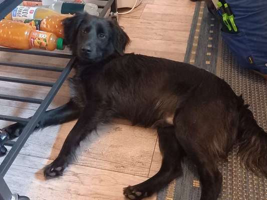 Doppelgänger gesucht !-Beitrag-Bild