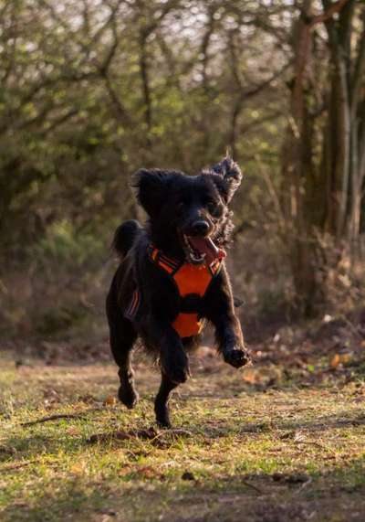 Lieblingsbild-Beitrag-Bild