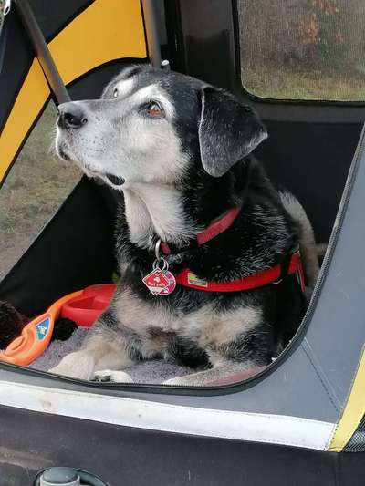 Lieblingsbild-Beitrag-Bild