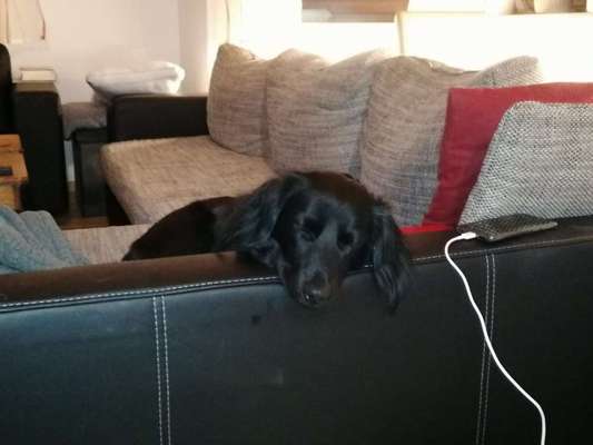 4. Lustiger Schlafplatz-Beitrag-Bild