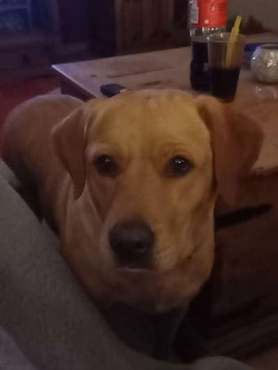 150. Foto Challaenge:  Die Augen, der Spiegel der Seele-Beitrag-Bild