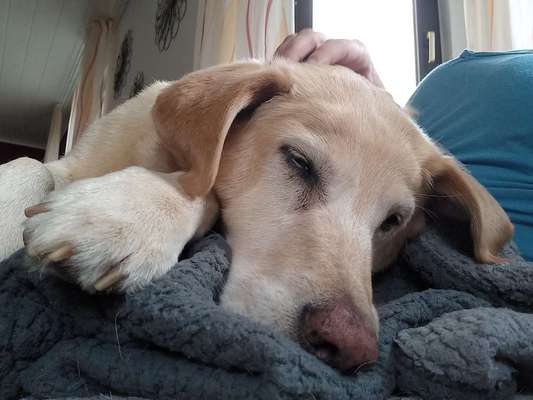 Fotochallenge Nr.89 - Charakter und Wesen-Beitrag-Bild