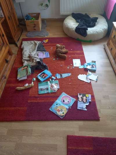 Chaos in der Bude-Beitrag-Bild