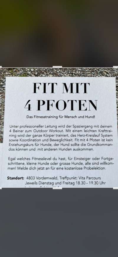 Hundetreffen-Fit mit 4 Pfoten-Bild