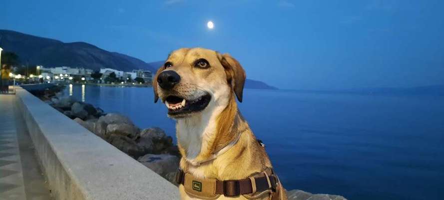 Zeigt eure Portraits-Beitrag-Bild