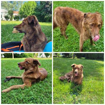 Zeigt eure schönsten Sommerbilder-Beitrag-Bild