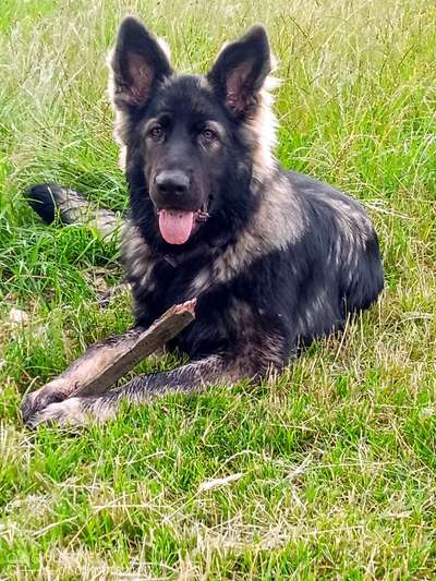 Lieblingsbild-Beitrag-Bild