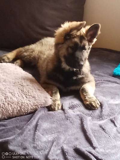 Lieblingsbild-Beitrag-Bild