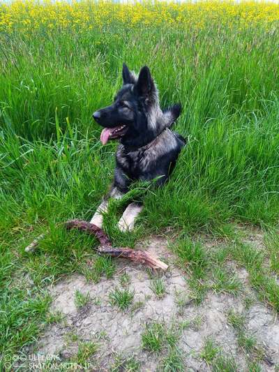 Lieblingsbild-Beitrag-Bild