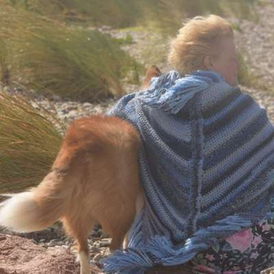 Hundetreffen-Gassi und Spielrunde in Remchingen