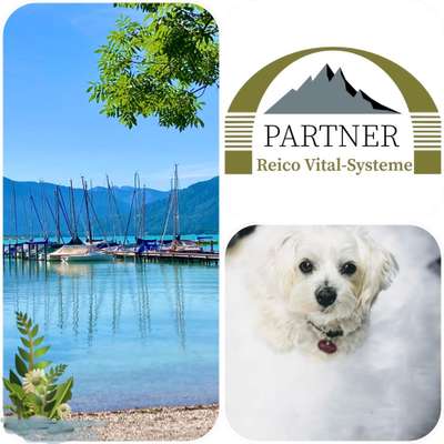 Hundeshops-Reico Vertriebspartnerin Sonja Kramer-Bild