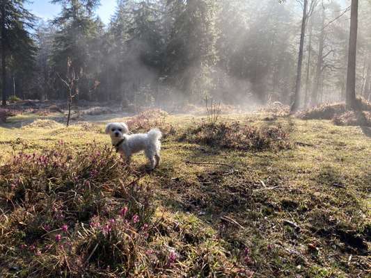 Foto Challenge Nr. 79-Beitrag-Bild