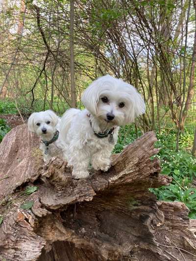 Fotowettbewerb Natur-Beitrag-Bild