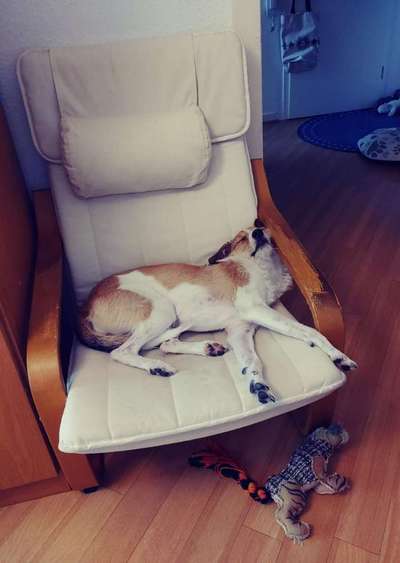 Die unbequemsten und lustigsten Schlafpositionen-Beitrag-Bild