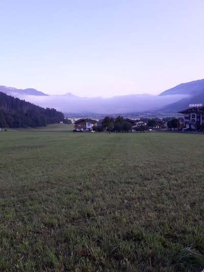 Die wunderschöne Welt mit Hund.-Beitrag-Bild