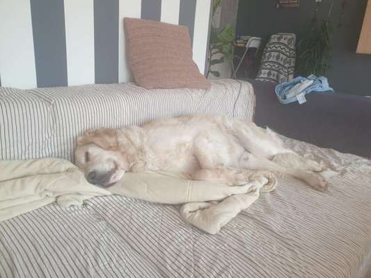 Die unbequemsten und lustigsten Schlafpositionen-Beitrag-Bild