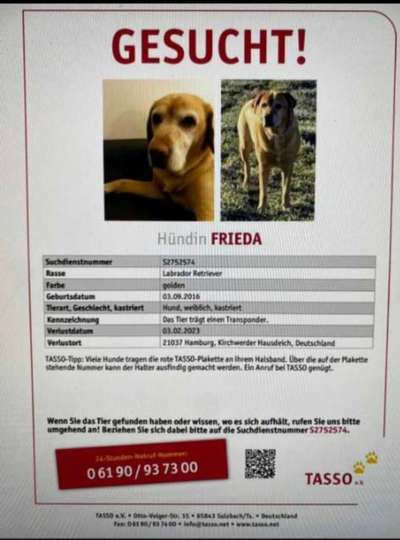 Suchmeldung-Frieda-Bild