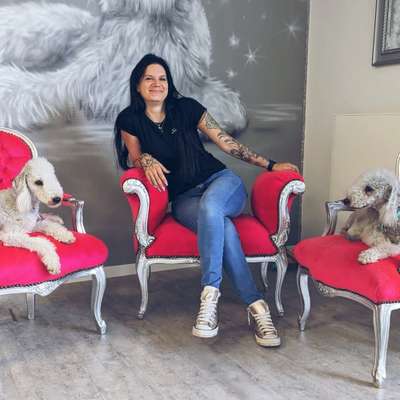 Hundefriseur Bild