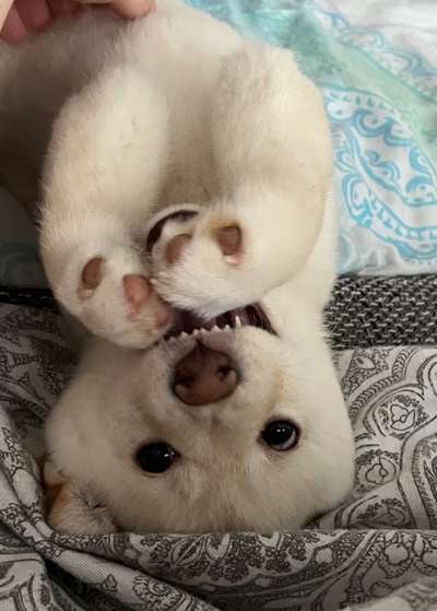 Handy-foto Challange nr. 11-Beitrag-Bild