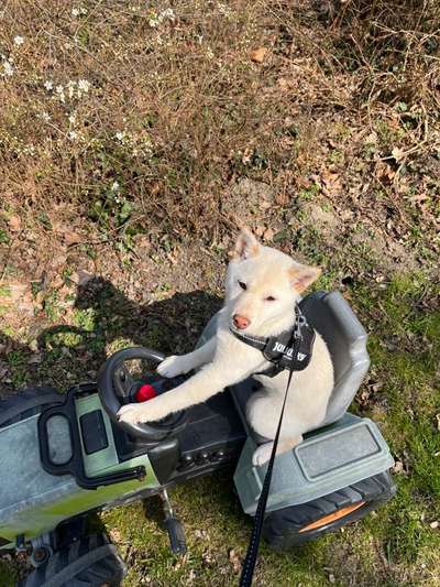 Fotochallenge No.97-Beitrag-Bild