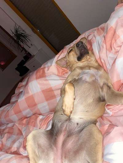 Die unbequemsten und lustigsten Schlafpositionen-Beitrag-Bild