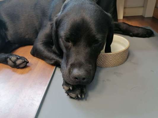 Zeigt her...-Beitrag-Bild