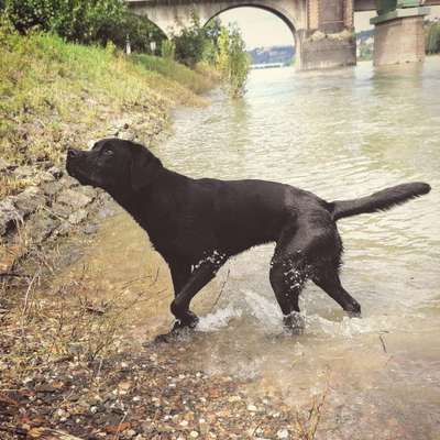 Lieblingsbild-Beitrag-Bild