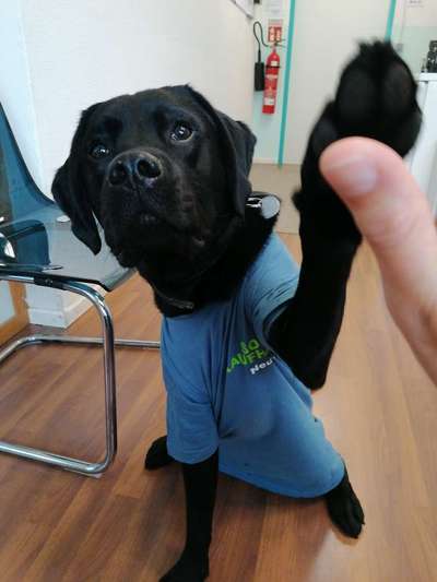 Zeigt her...-Beitrag-Bild