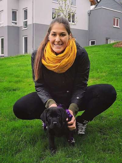 Welpen Bilder !-Beitrag-Bild